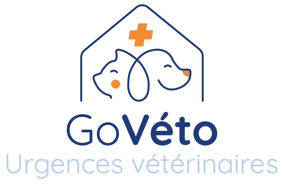 Logo GoVéto
