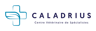 Logo Caladrius