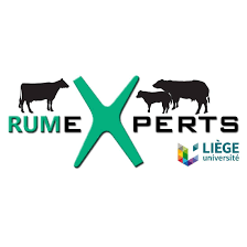 Logo RumeXperts