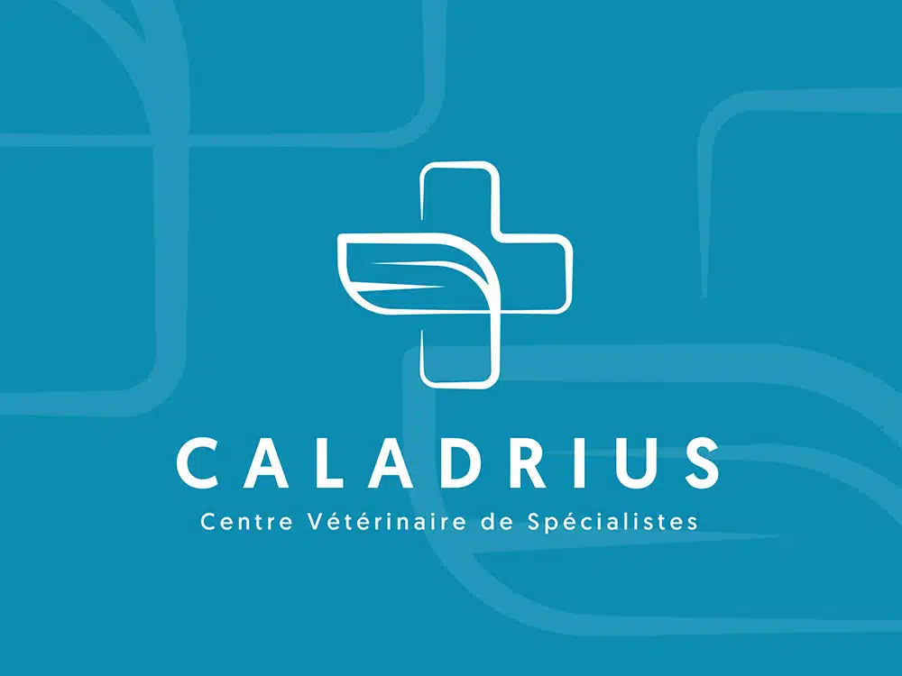 Logo Caladrius